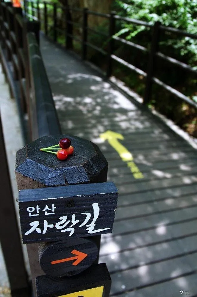 Stay Waterfall- Yeonhui Hongdae 10Mins Sinchon 3Beds 6Ppl Seúl